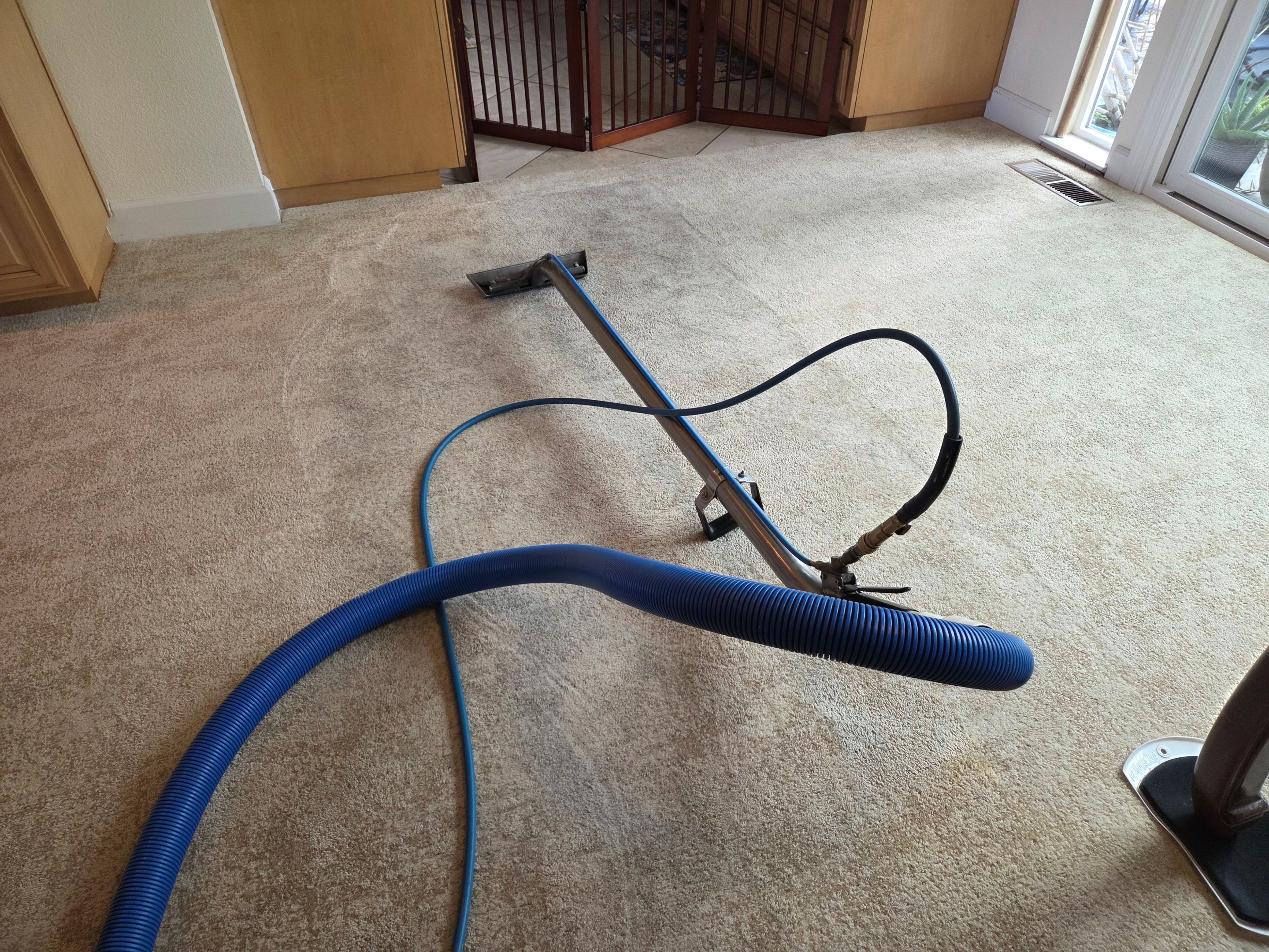 Roseville Carpet Re-stretch and Cleaning by Ardent Carpet Restore LLC