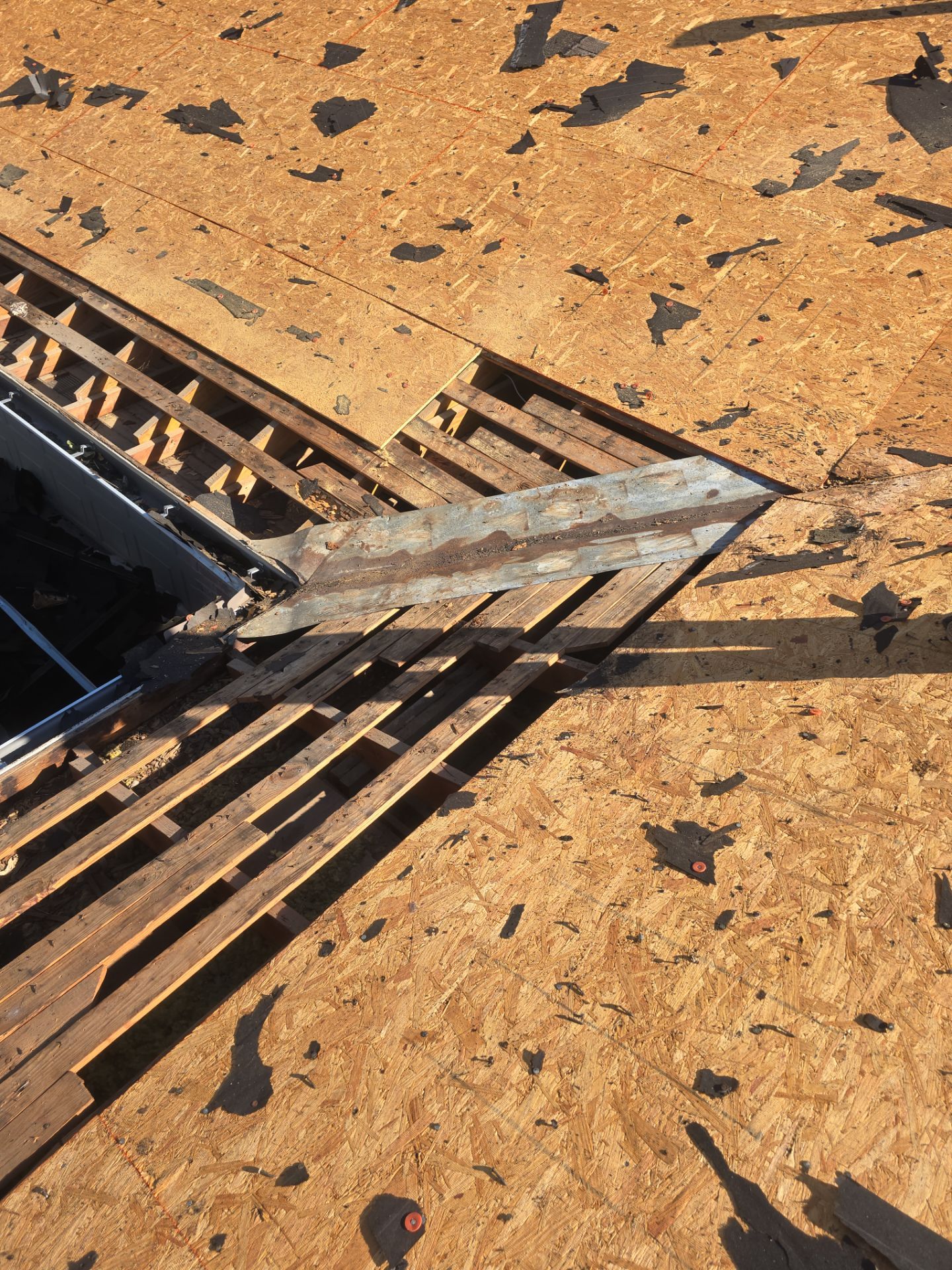 Roof Replacement Spring by Roof Repair Company