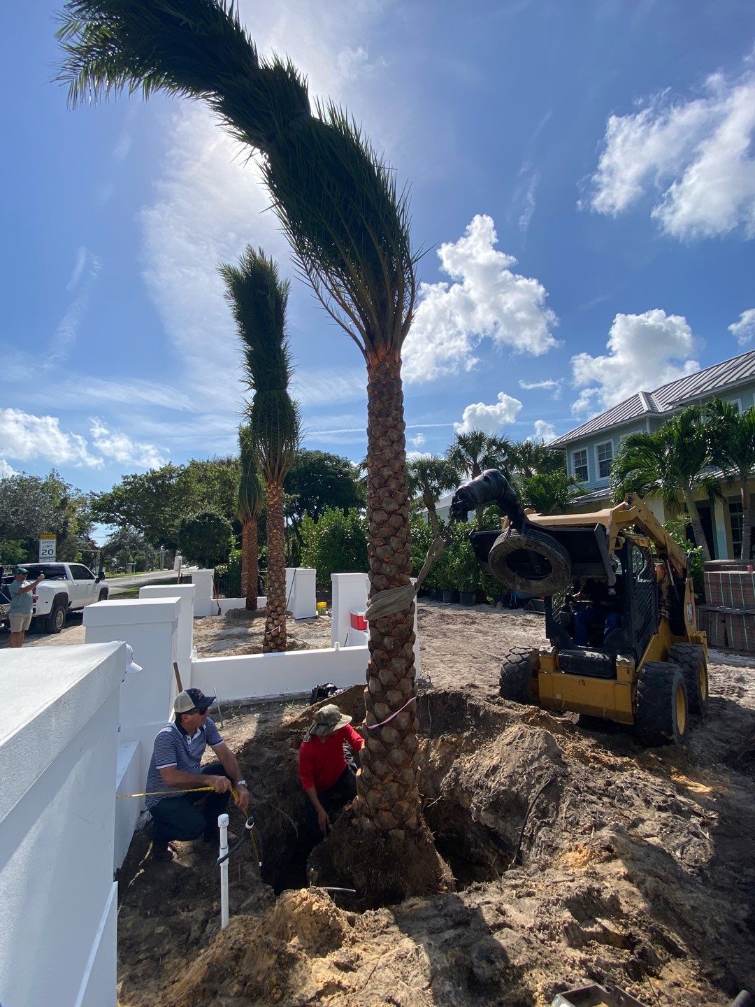 Hazard  by The Landscaping People