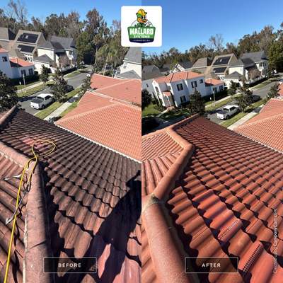 Barrel Tile Roof Cleaning