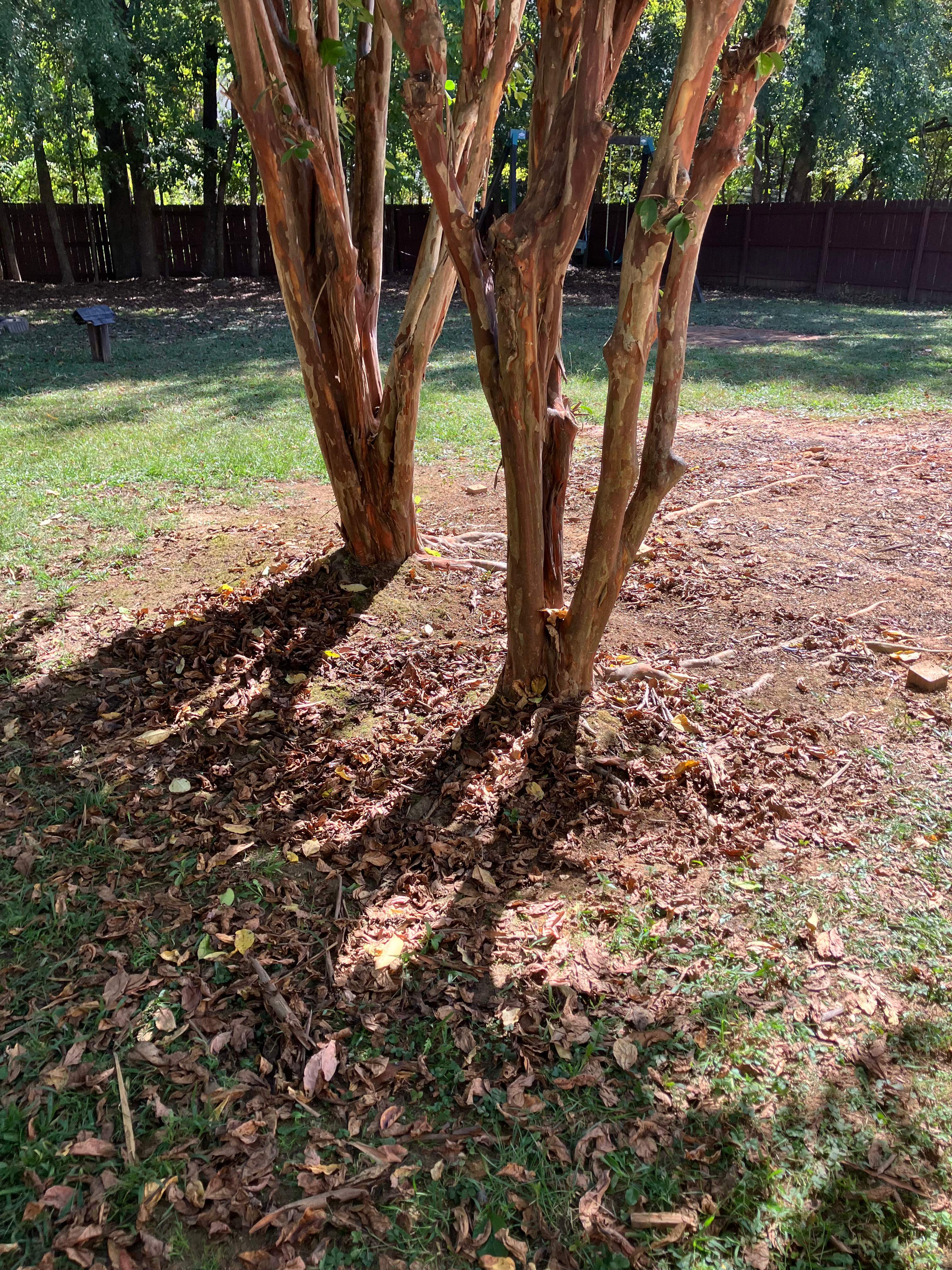 Project in Indian Trail by Badger Hauling