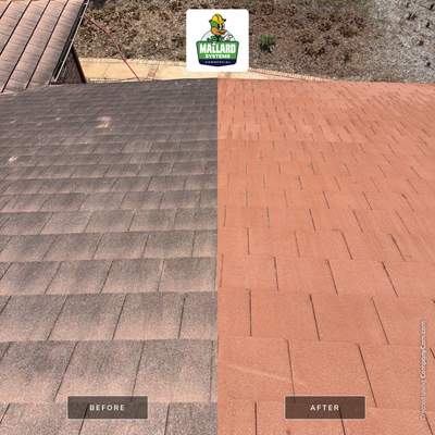 Tile Roof Cleaning and Exterior House Wash in Windermere