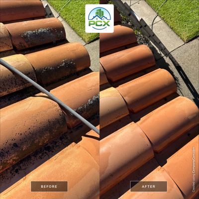 Coto De Caza Roof Washing in CZ Master