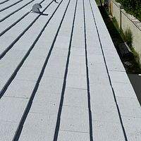 Boral Saxony 900 Ultra White  by Total Roofing System The Metal Roof Experts