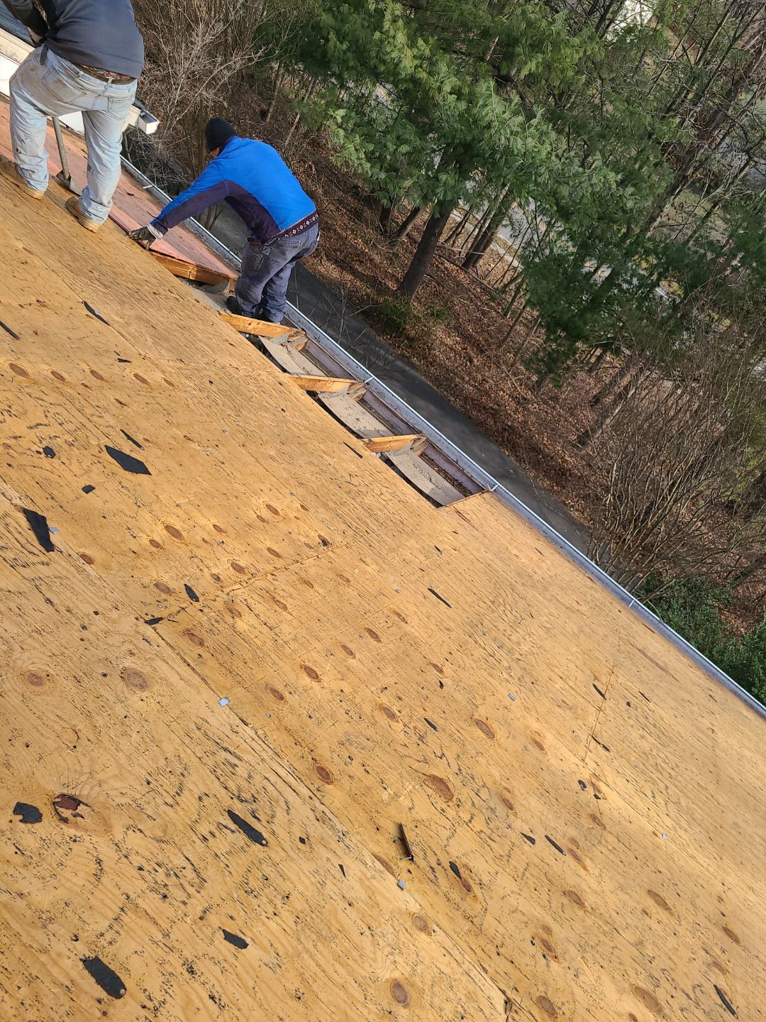 Burke CertainTeed Landmark Pro Roof in Max Def Espresso by RM Banning, Inc.