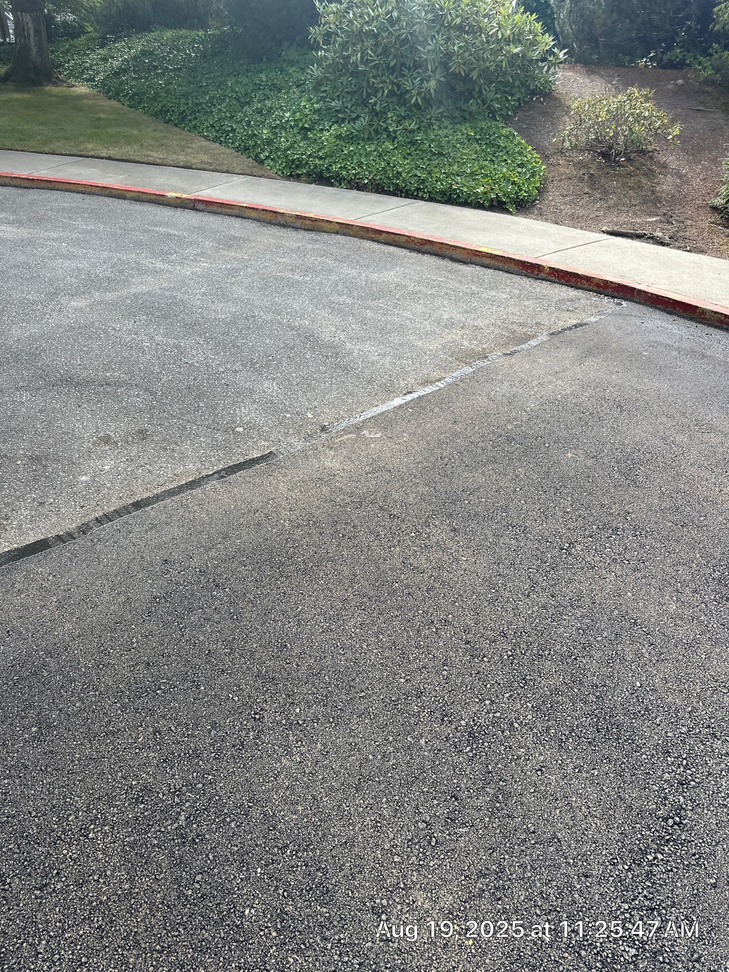 Our Savior's Lutheran Church | Everett   by Jireh Asphalt & Concrete Inc 