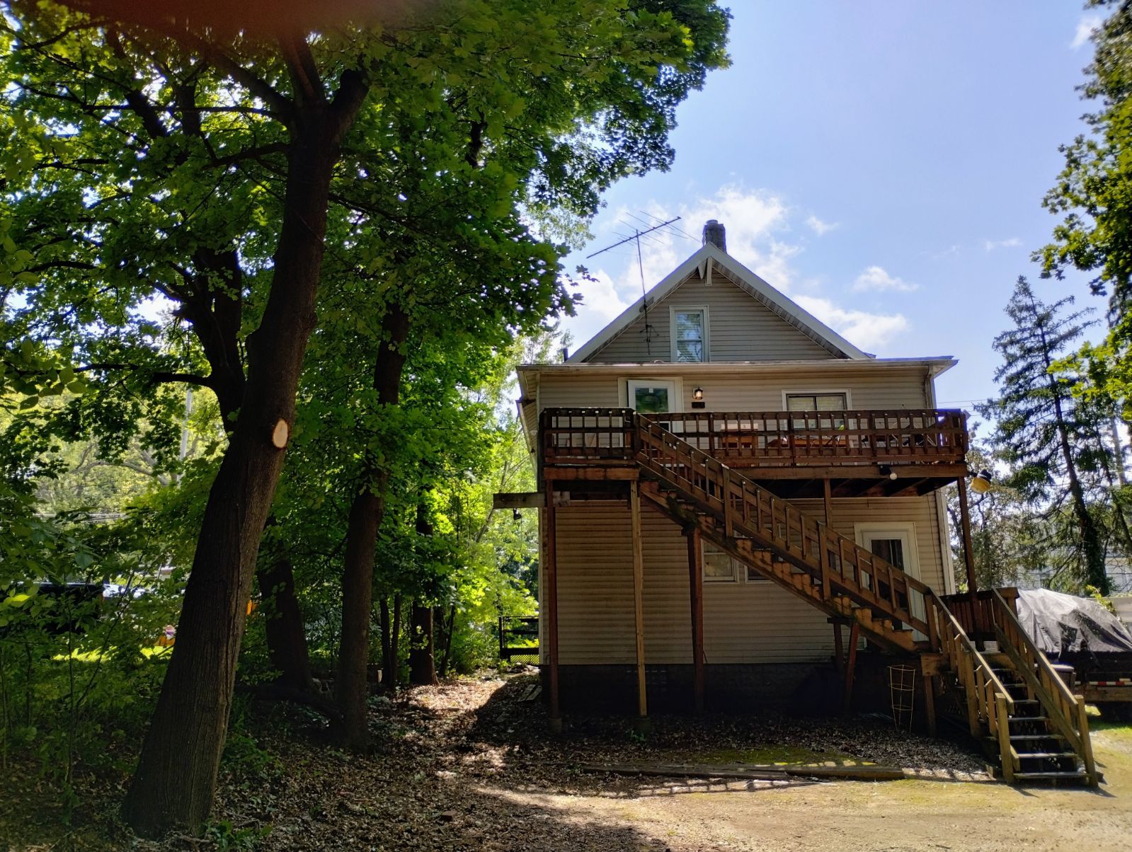 Tree Trimming using Tree Pruing by Mike Jones & Sons Tree Service LLC 