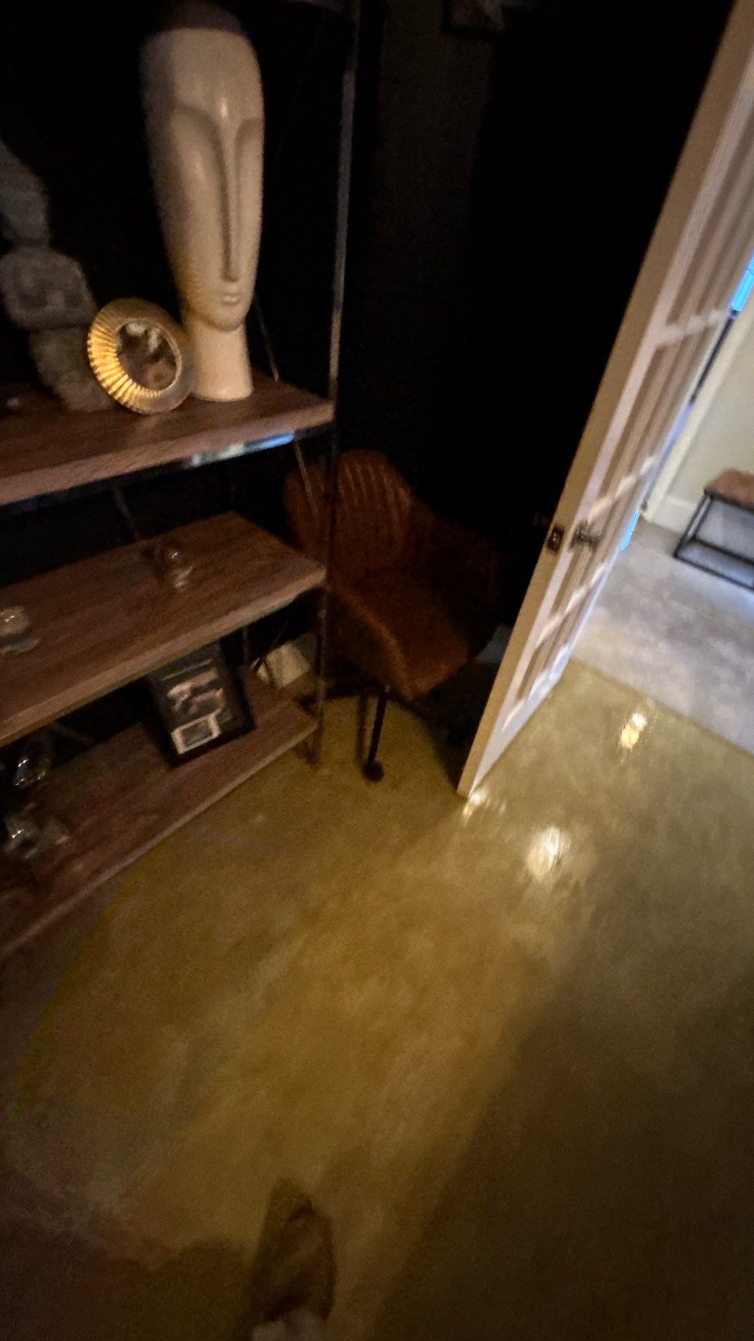 Wellington Water Damage Restoration with Thermal Imaging and Extraction by SuperClean 