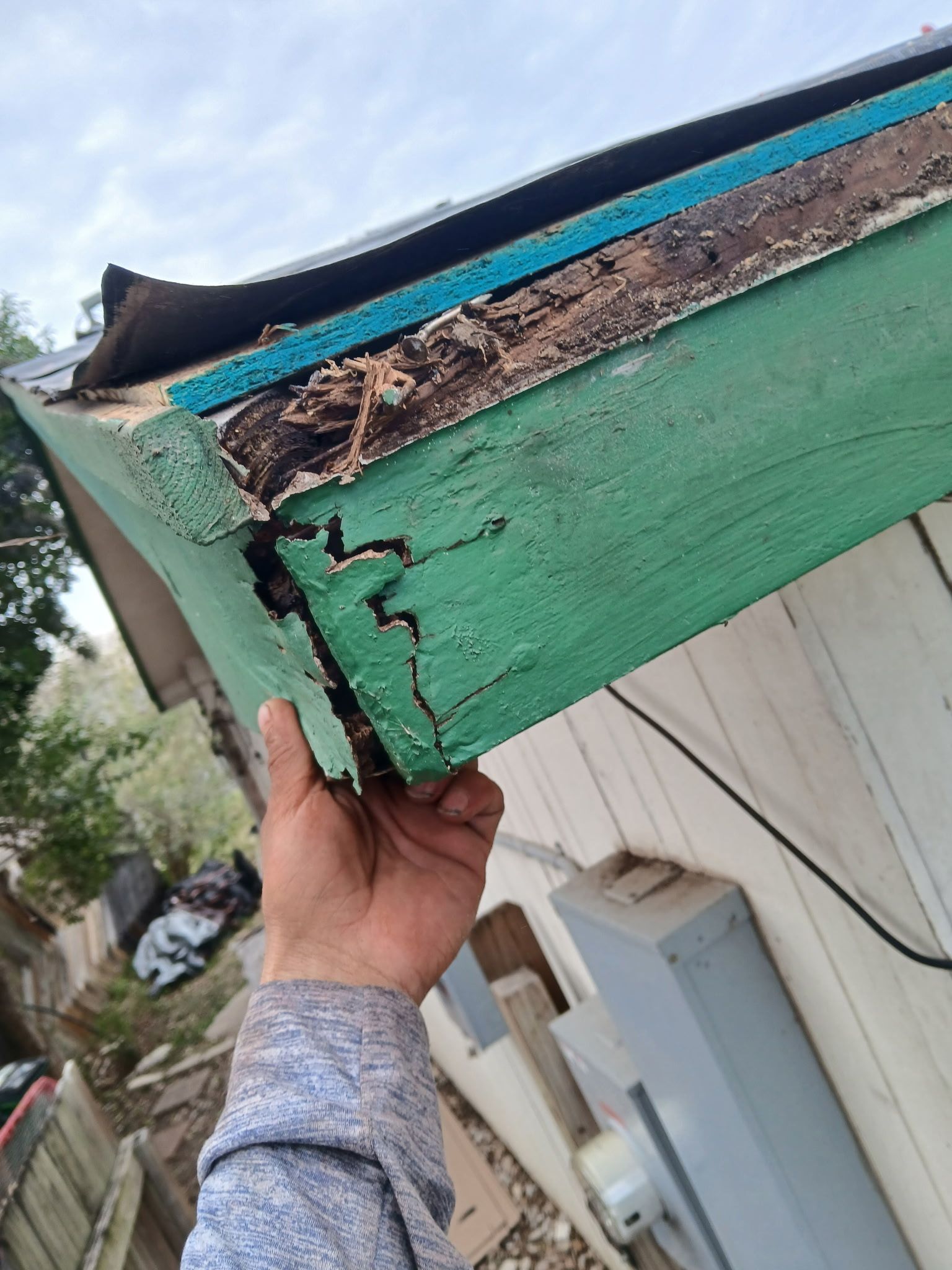 [Almost] All Trades by REPS Austin Area Roofer