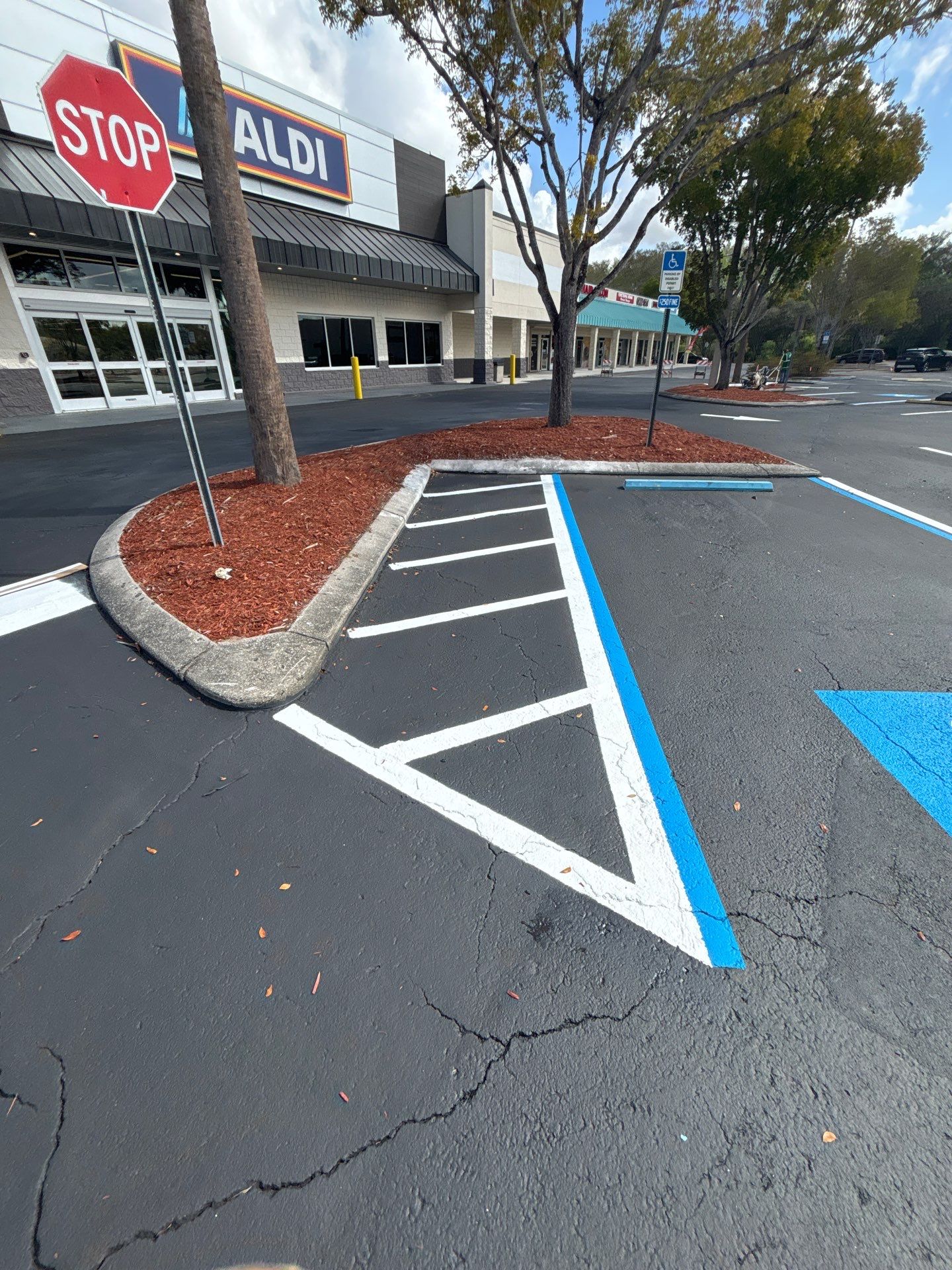 Aldi - Ft Myers by Everline Coatings & Services - Southwest FL