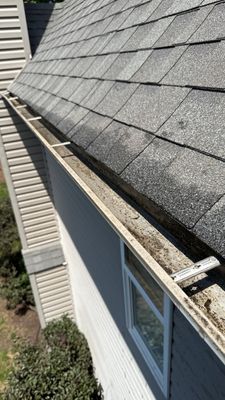 Why Oswego Gutters Clog and Ice Up