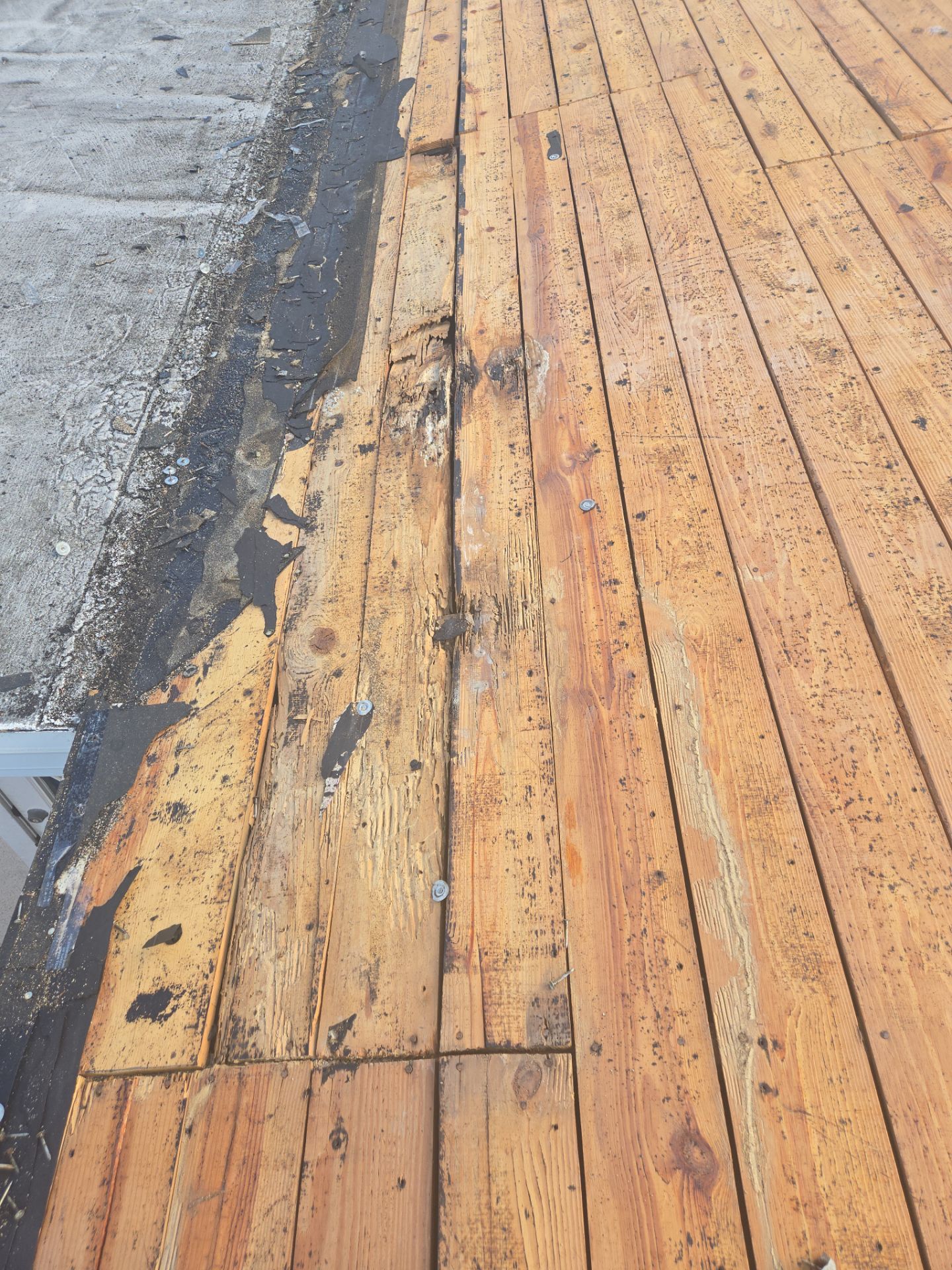 Project in St. Petersburg 33710 by Mitchell Roofing Company LLC 