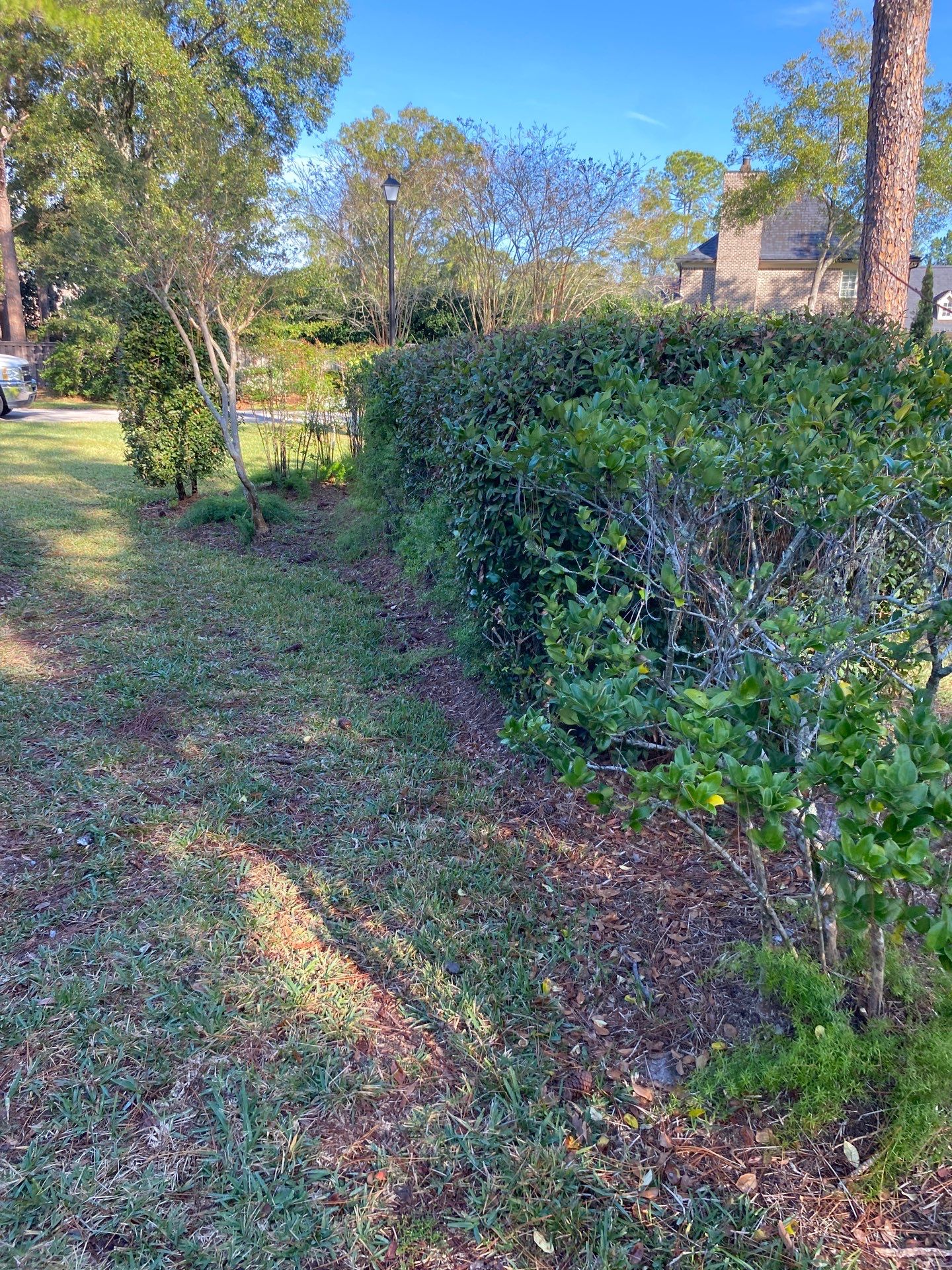 Deerwood Resident | Mulch Freshen Up Project by ProGreen Services