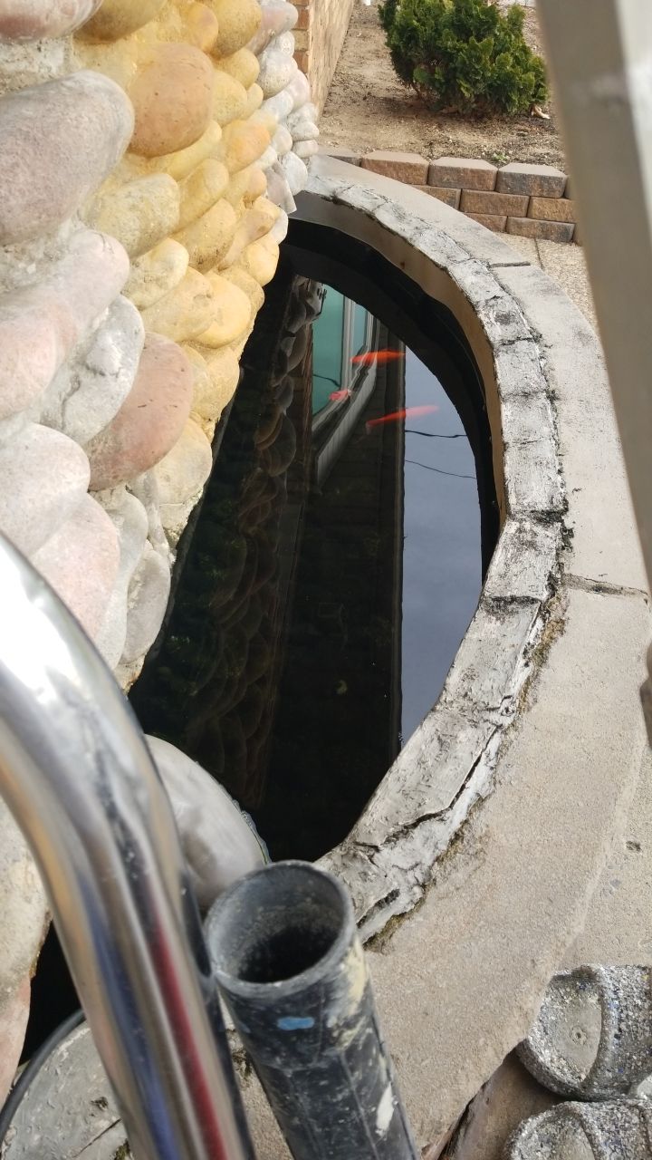 Installers have Feline supervision by Spectrum Painting, LLC