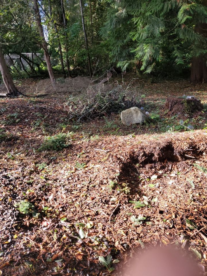 Tree Removal using Tree Removal by Mike Jones & Sons Tree Service LLC 