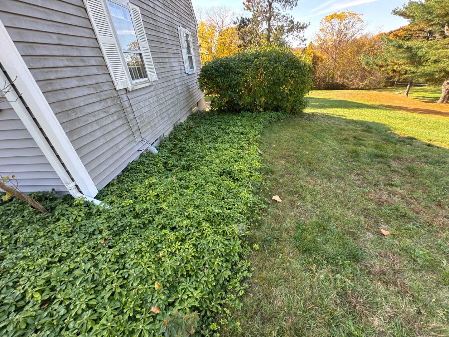 "One-Day Transformation: New Homeowner's Seamless Roof Replacement!" by Sensible Home Solutions