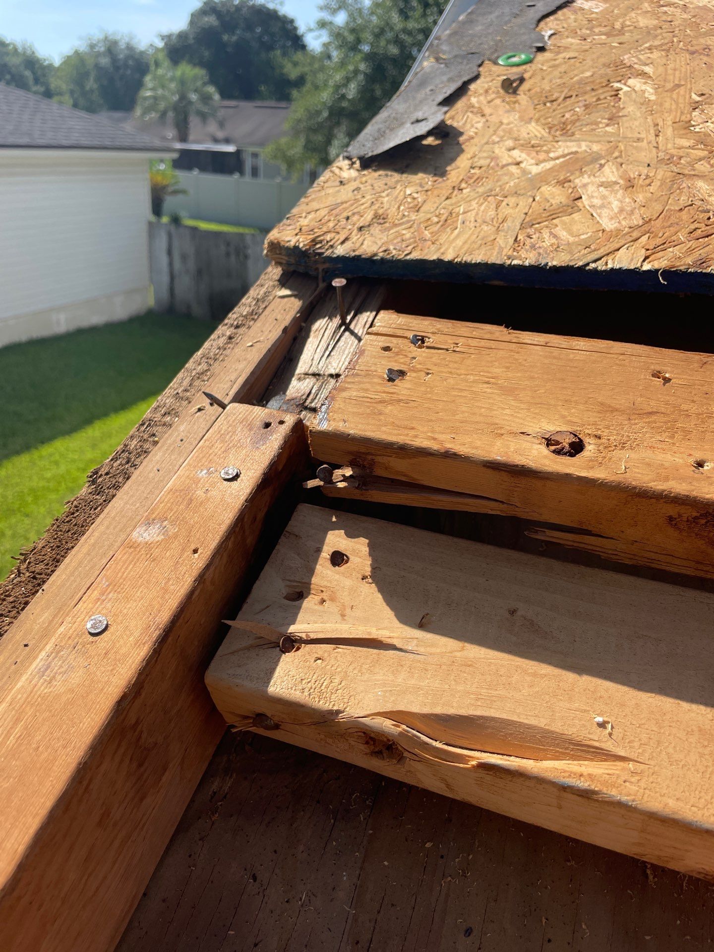 New Roof Installation at 4364 Morning Dove Dr. by 1 Roof LLC