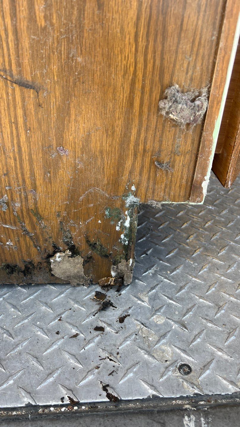 Water Damage by Accountable Home Services