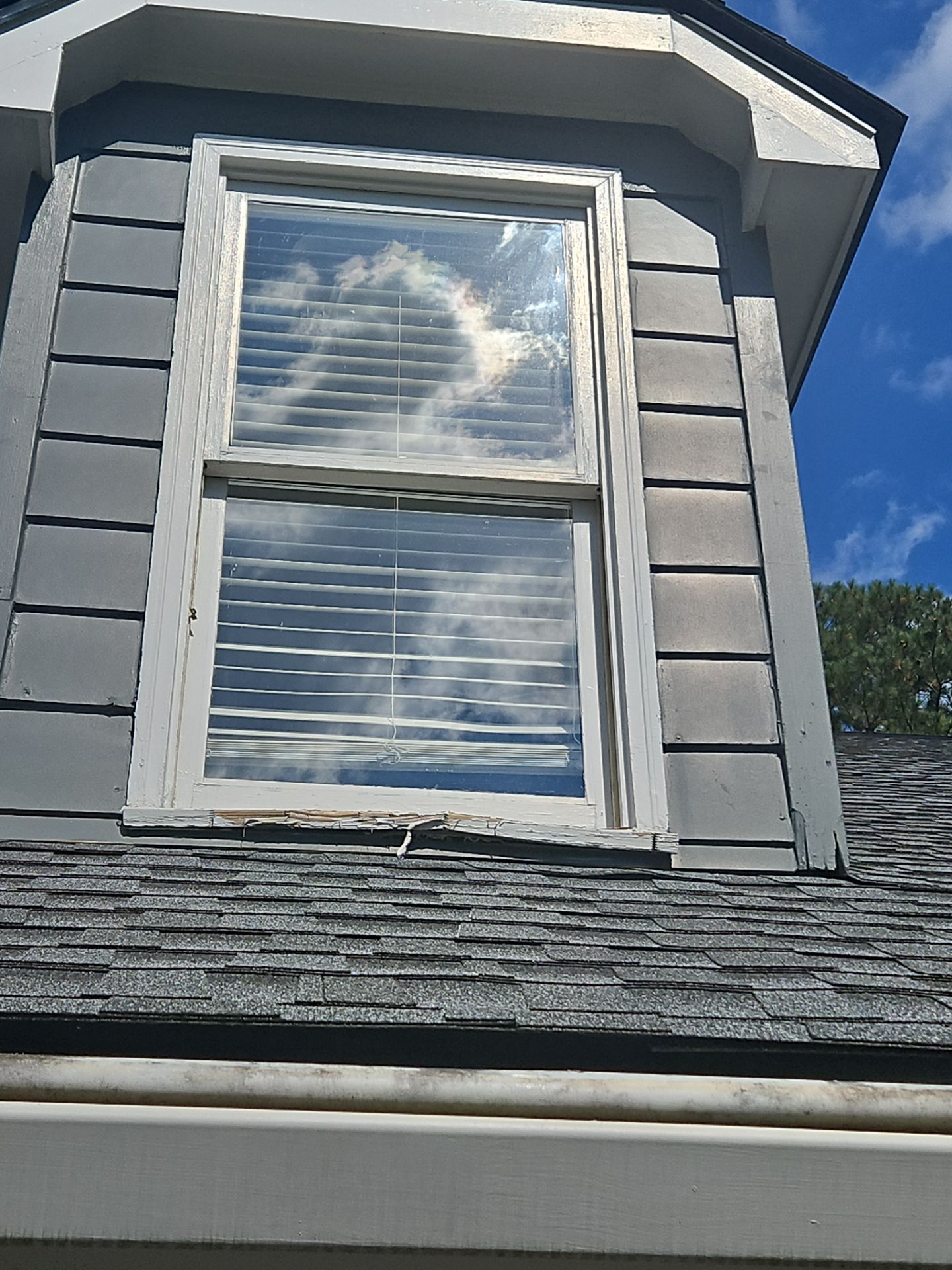20+ Window Replacements using MI 1500 Series Vinyl Replacement Windows by Nelson Exteriors 