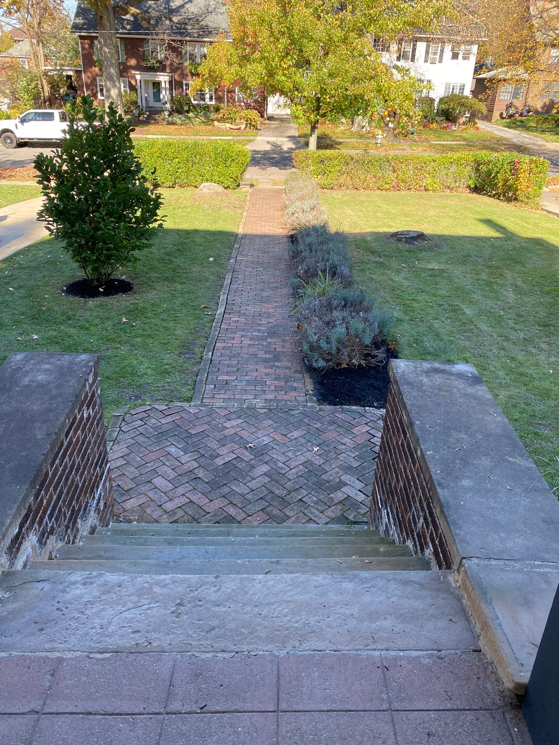 Sale Ready Maintenance by Elm Rose Gardens