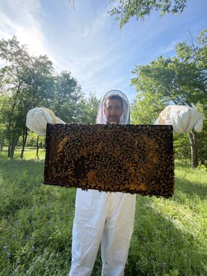 New Beekeeper in Maypearl