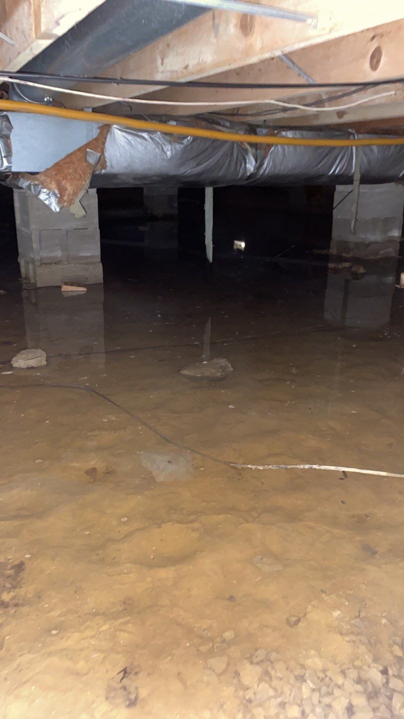 WE ARE SWIMMING IN THIS CRAWLSPACE by Toledo Basement Repair