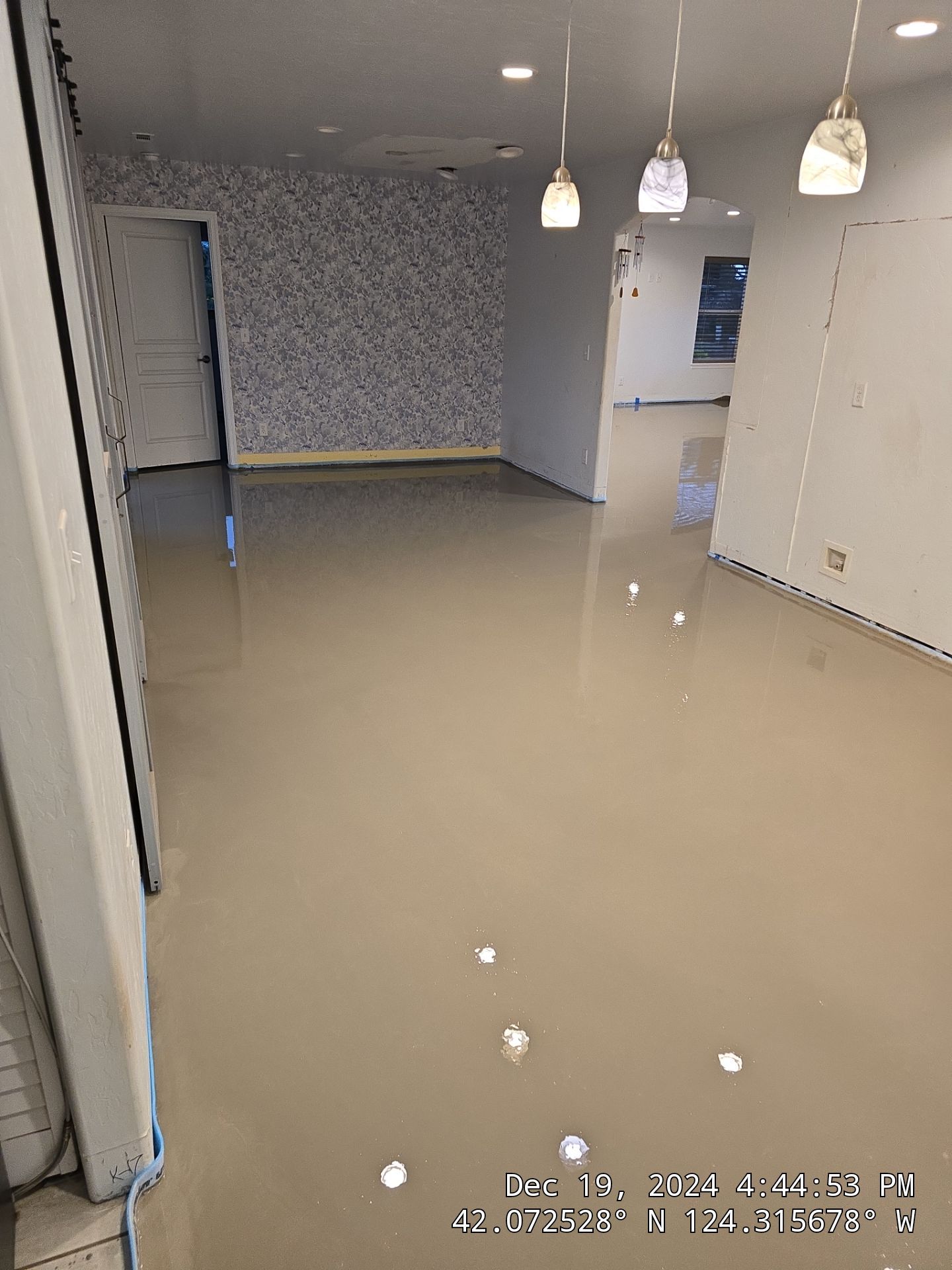 Structural Subfloor Repair and LVP Flooring Installation in Brookings by KMD Surfaces INC.