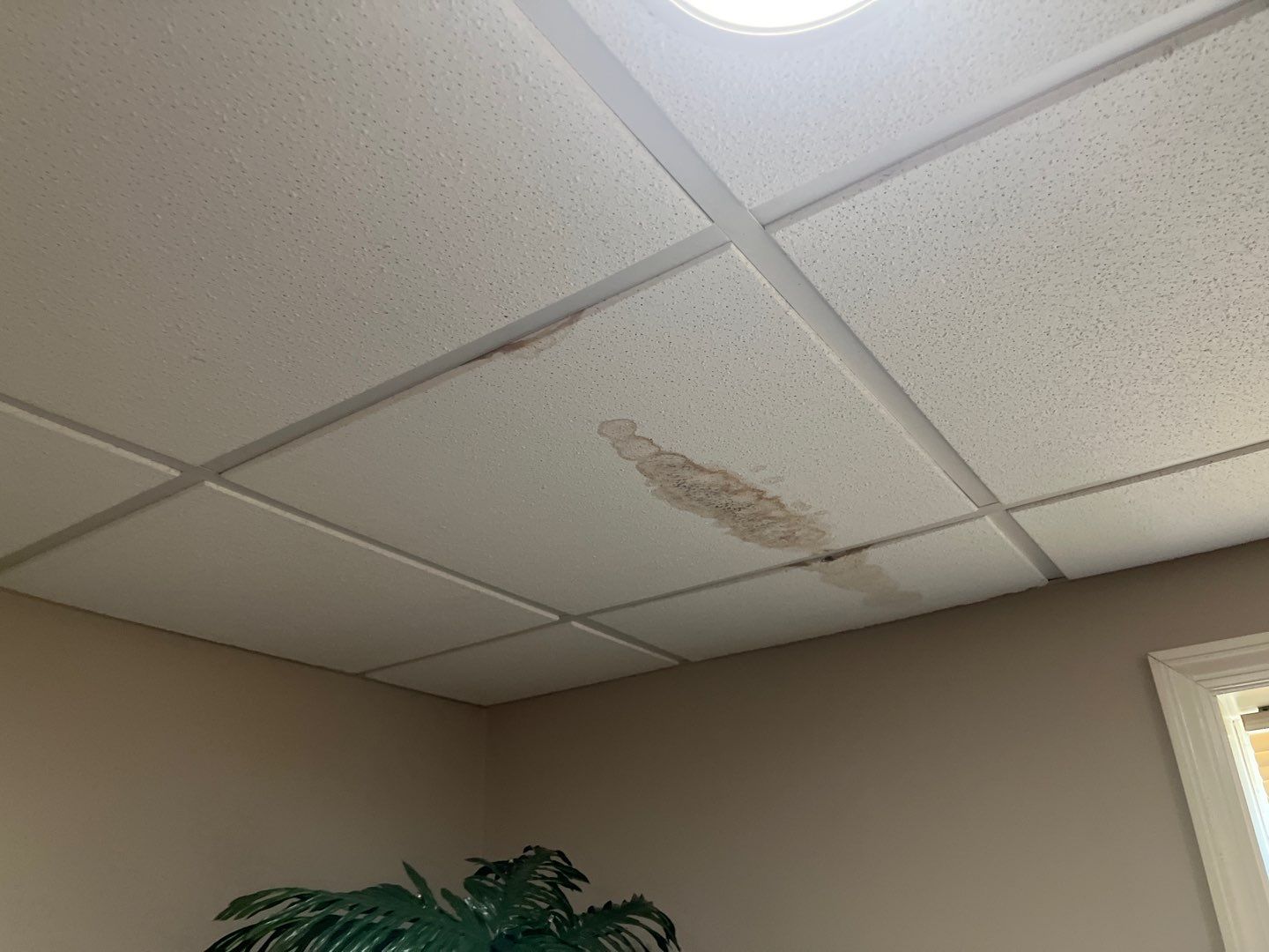 Mold Remediation in Louisville, KY by ANR Restoration