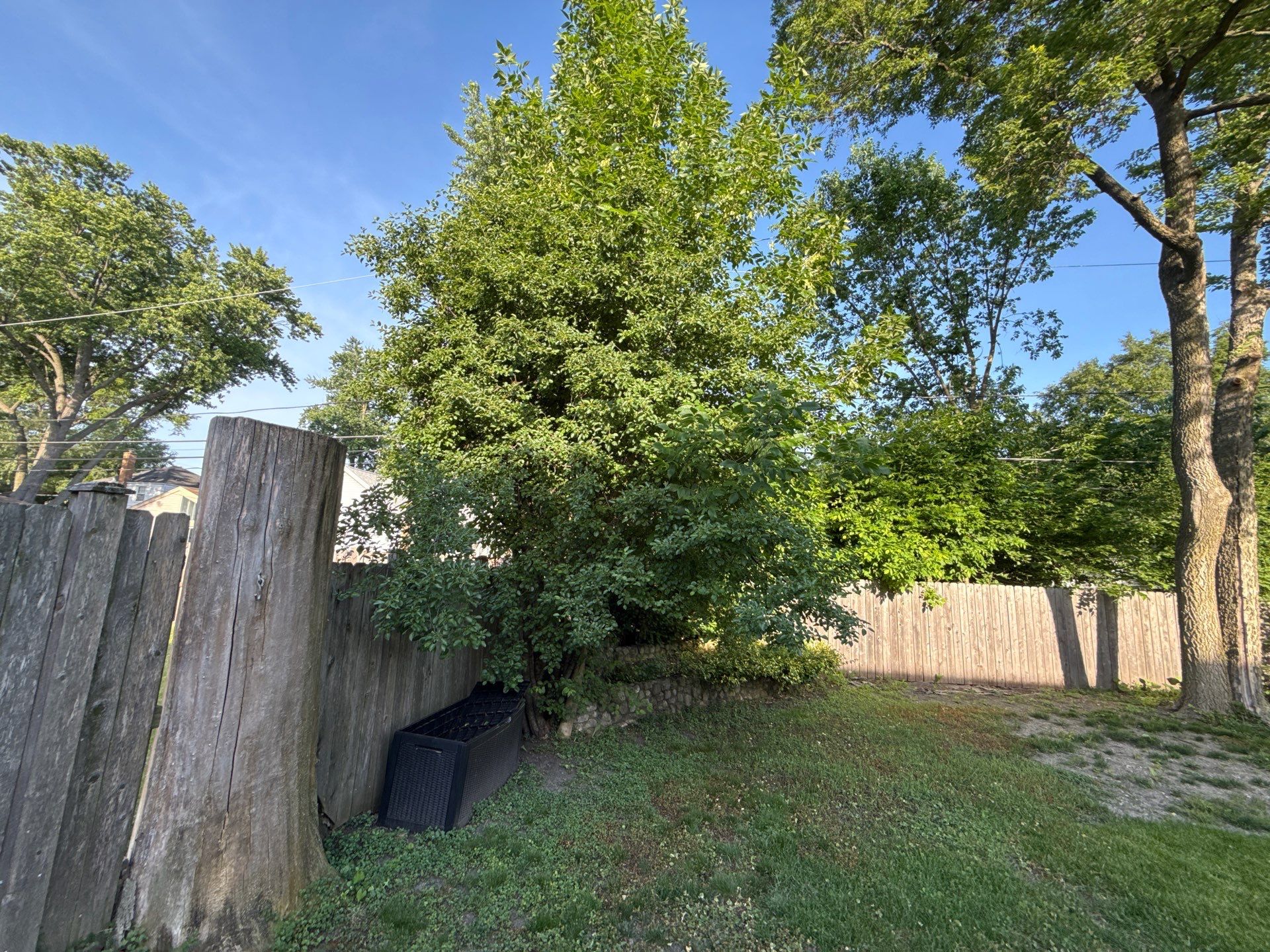 Bryan, F. - Arlington Heights, IL  by A&N 