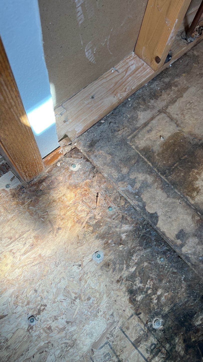 Water Damage and Mold Remediation by Accountable Home Services