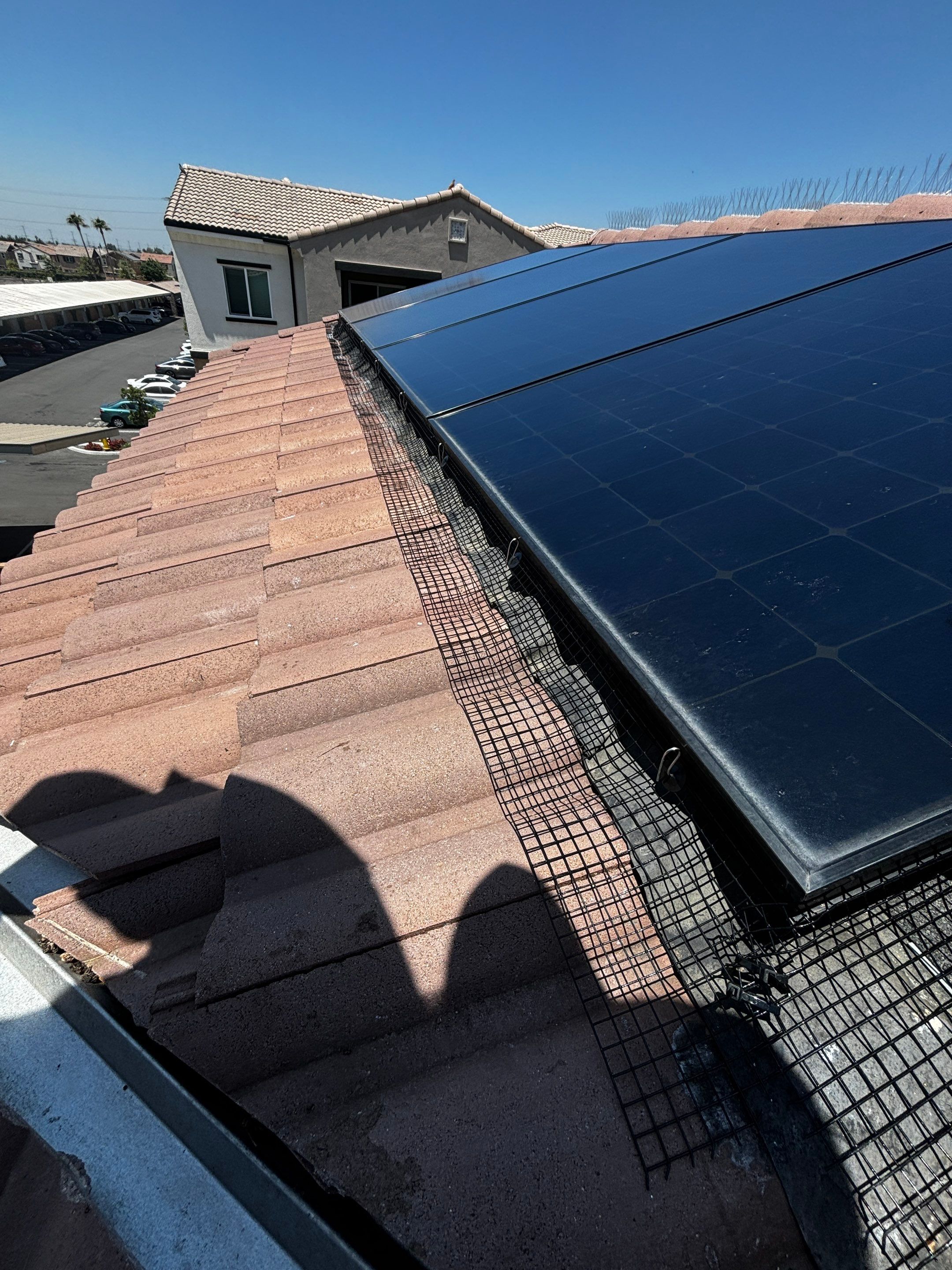 Solar Panel Bird Proofing in Fontana Ca by Palm Coast Solar Cleaning