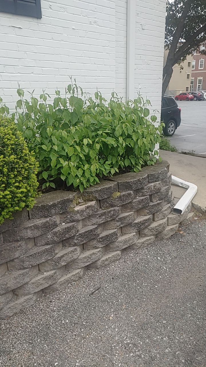 Replacement of existing retaining wall.  by New Horizon Landscapes