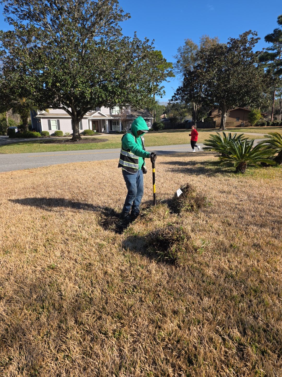 Deerwood Resident | Tree Install by ProGreen Services
