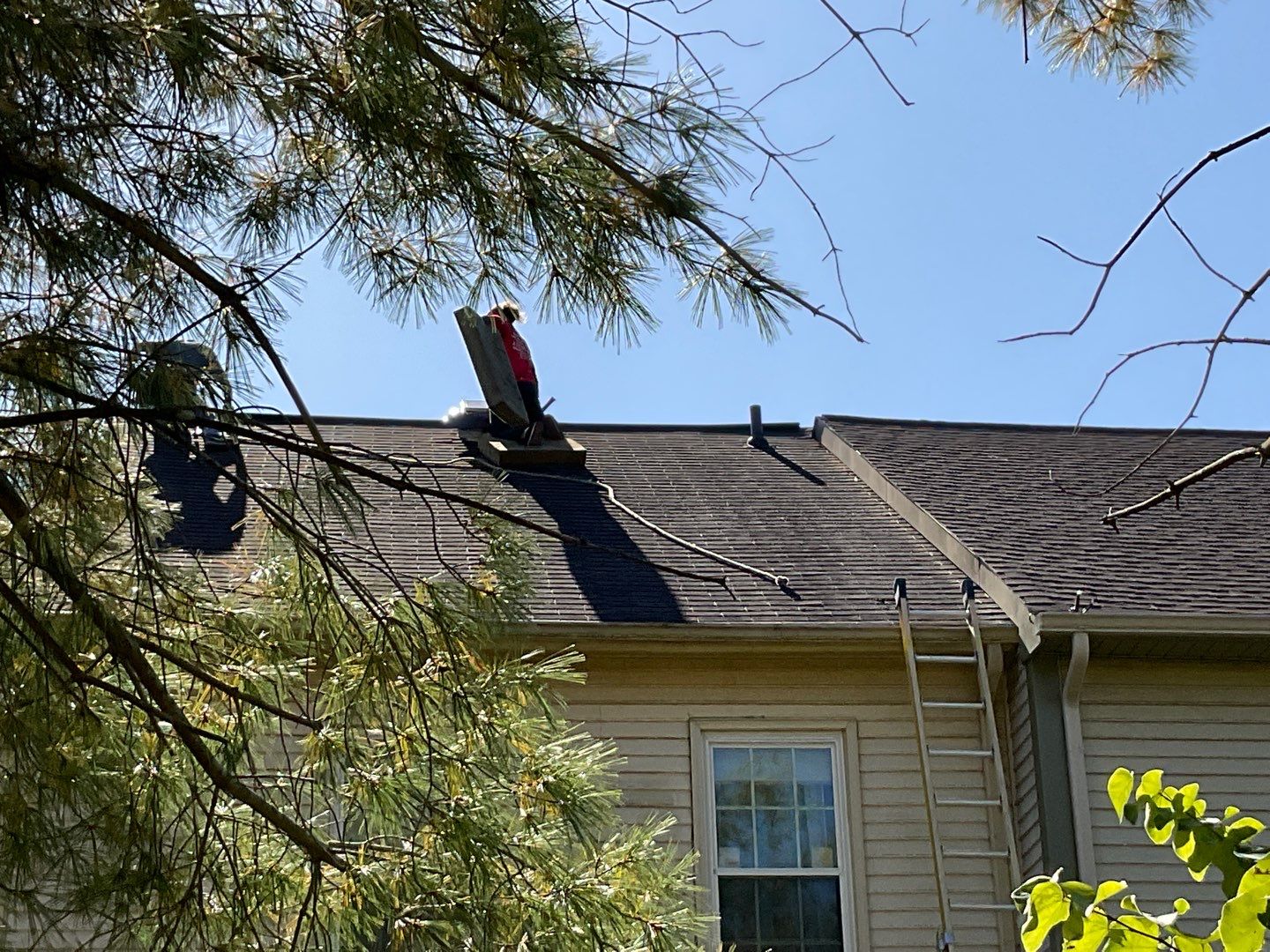 Residential Roofing Repair using Solar Fan by Alpha Design Services