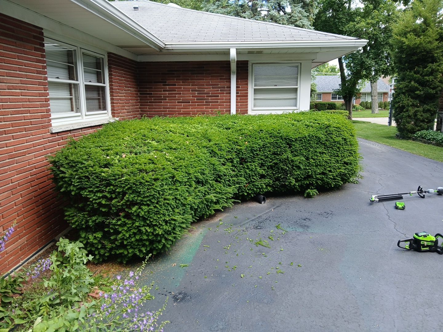 Al K. - Arlington Heights, IL by A&N