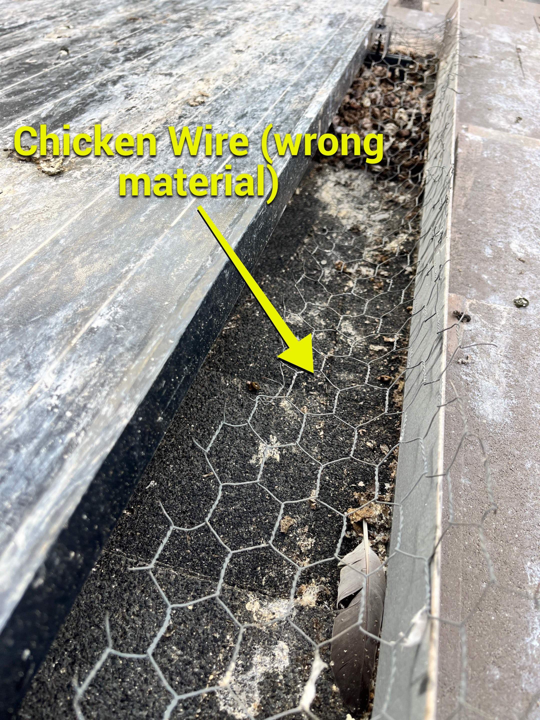 Failed Bird Proofing Installations by Palm Coast Solar Cleaning