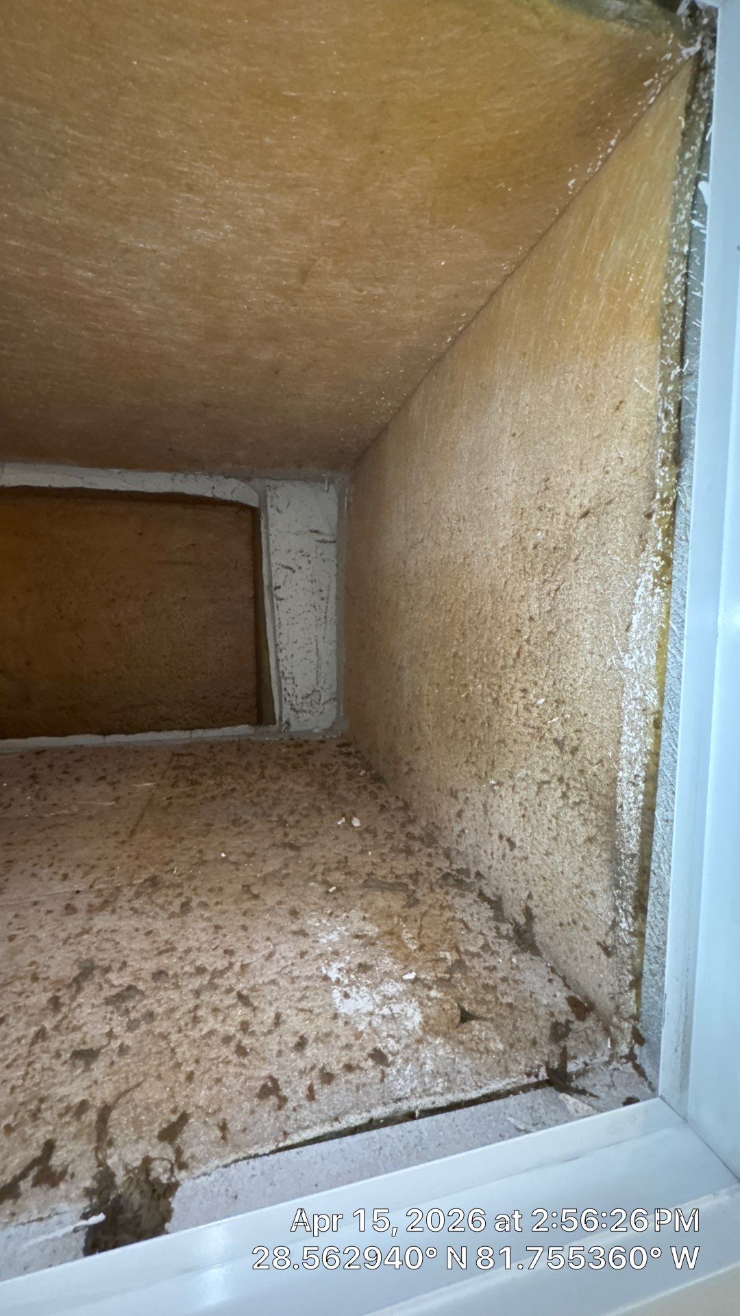 Air Duct Cleaning in Clermont by Hygienic Air, Inc