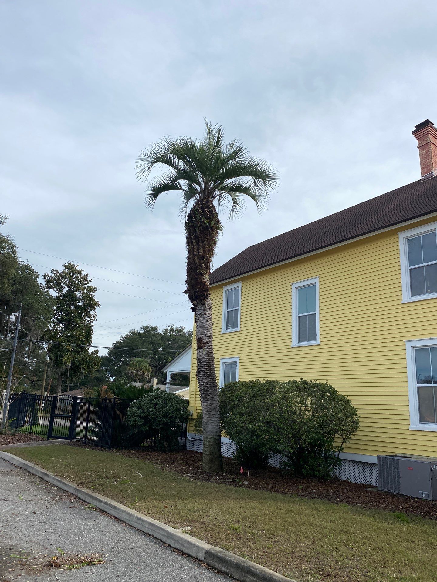 Volunteer Work | Episcopal High School of Jacksonville by ProGreen Services
