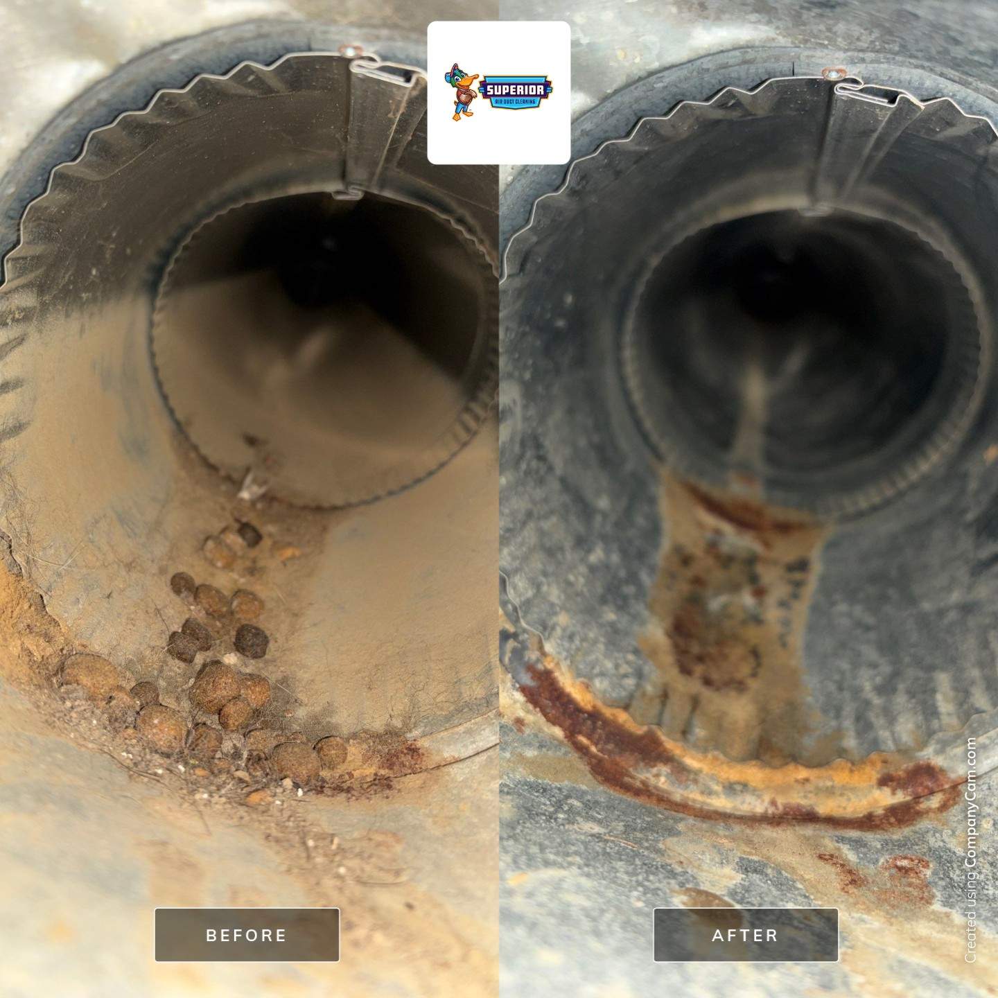 Air Duct Cleaning in Richmond, OH by Superior Air Duct Cleaning
