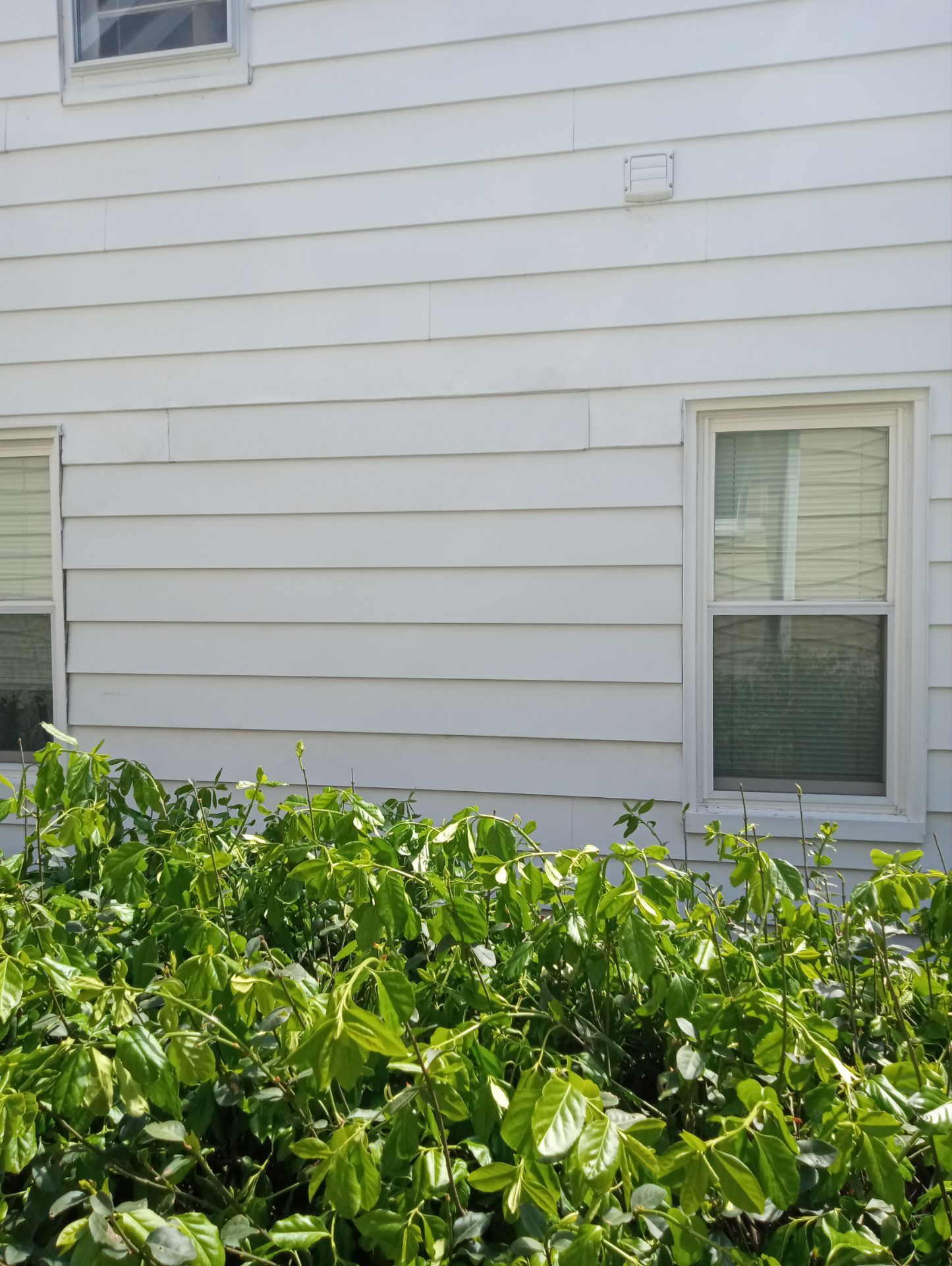 Josh Tyburski by Silver Leaf Contracting 
