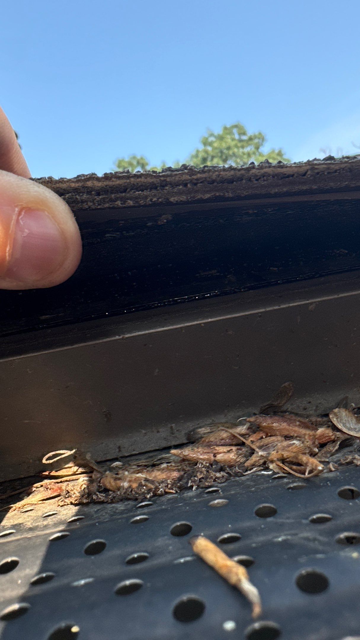 Roof Replacement using Malarkey Legacy Natural Wood by 180 Contractors