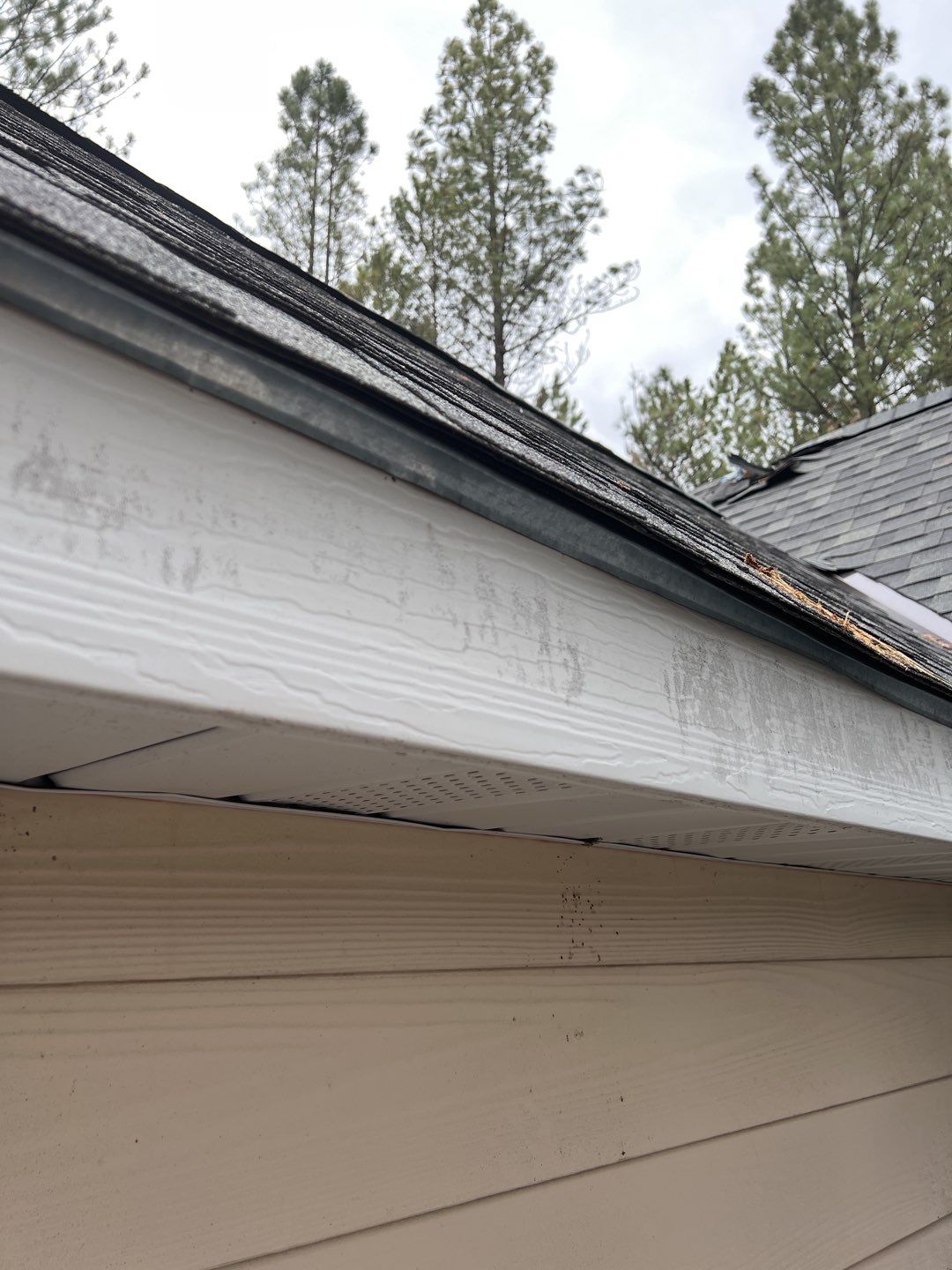 Green Snap Lock Standing Seam  by Montana Roofing Solutions
