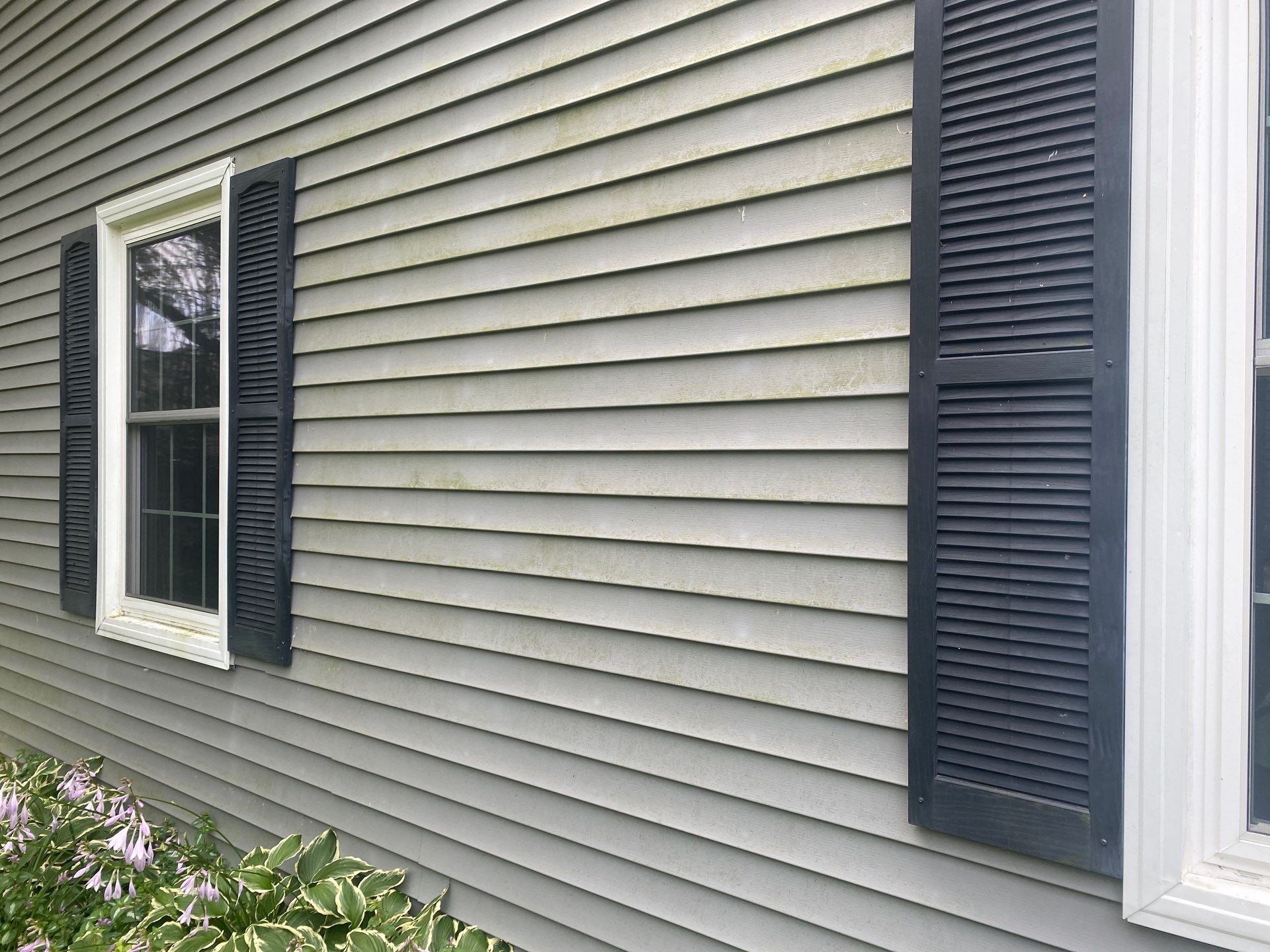 House wash and concrete cleaning by Shulla Exterior Cleaning