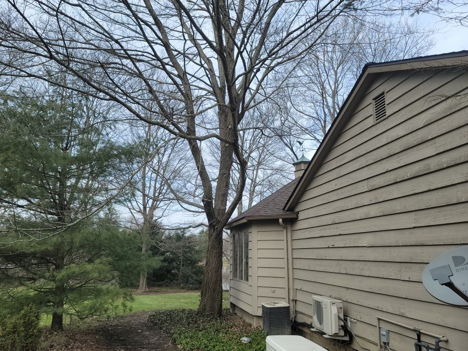 ATLAS PINNACLE HP COLOR: SCOTCHGARD HEATHERBLEND DRIP EDGE: MUSKET BROWN by Eagle Eye Roofing