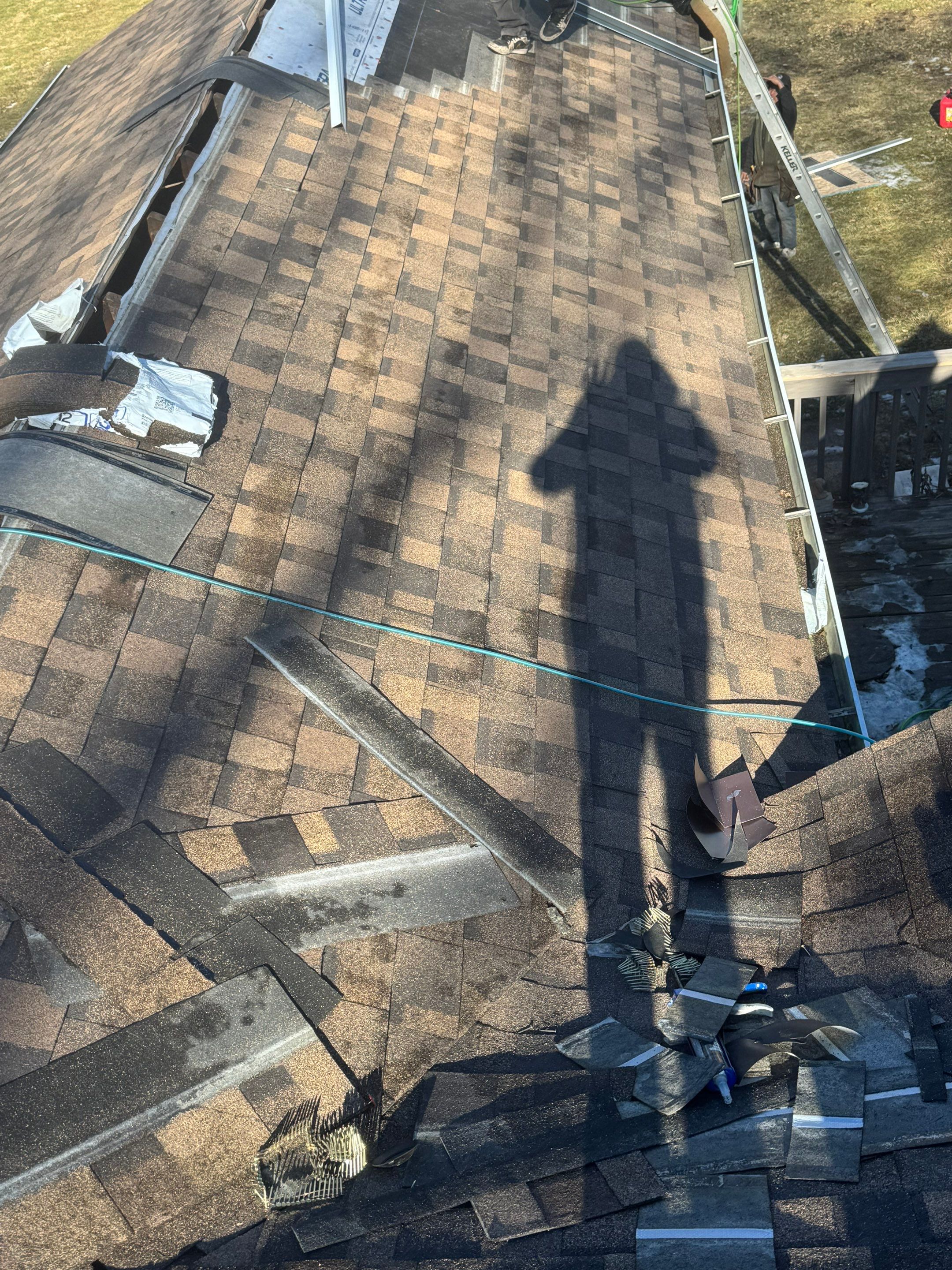 Sharkey Roof by Erie Home