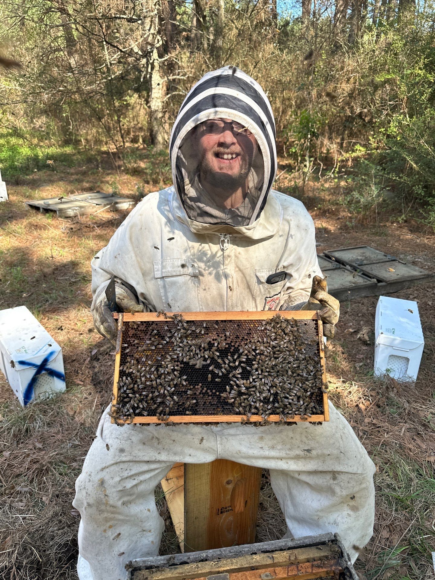 Tree Farm Apiary by Rockwall Honey Bee Company