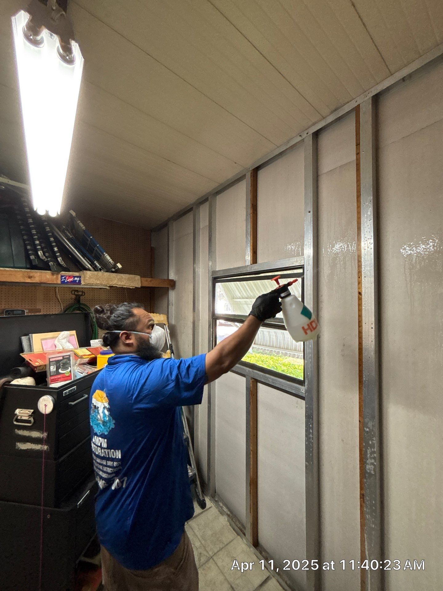 Mold Removal In Palmetto by Ampm Restoration Services