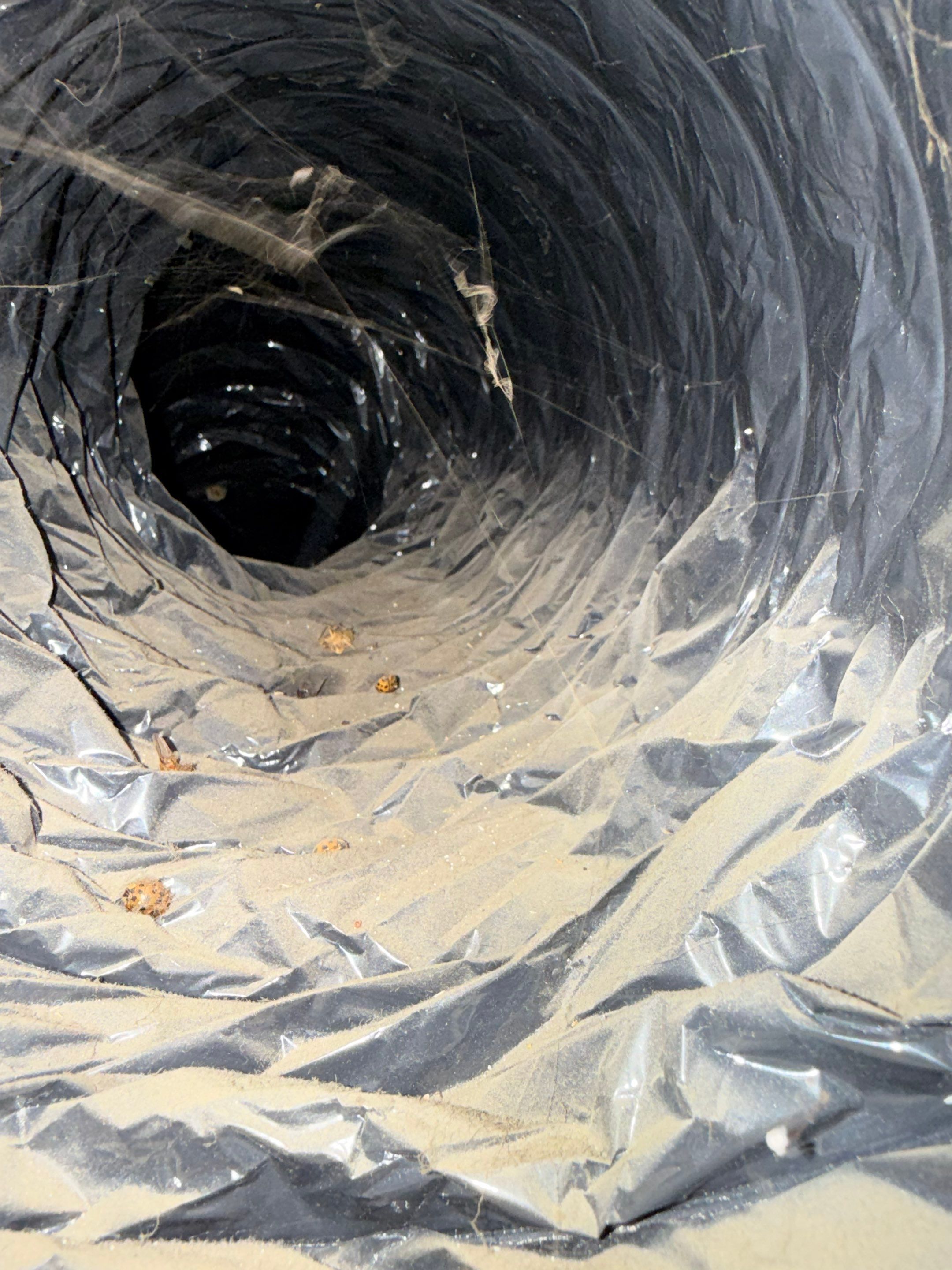 Duct cleaning and sanitizing in winchester by Elemental Heating and air conditioning LLC