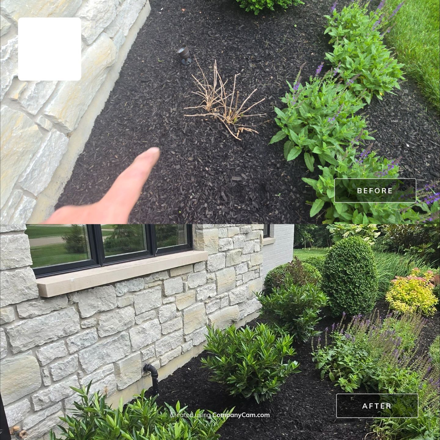 BTC Custom Landscapes & Outdoor Spaces featured photo.