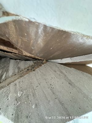Emergency Water Extraction — Naples, FL